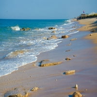 Florida-surf na plaži od strane Anna Miller