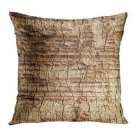 Smeđi sažek drveni koru palmirski palmi starenje Zatvori izbliza Kokos detalj jastučni jastuk