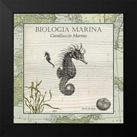 Vision Studio Crna modernog uokvirenog muzeja Art Print pod nazivom - Biologia Marina III