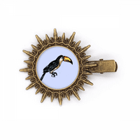 Slikarstvo Tropska ptica za kosu za kosu za glavu za sunčanje Retro Metal Clips Pin