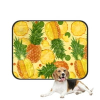 Tropički voćni ananas kućni ljubimac mačji krevet pee jastučići mat jastuk za ottove psiklketi Kennel