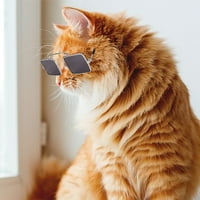 Park Funny Slatka mačka Mali pas sunčane naočale Classic Retro Square Metal Prince Sunčane slike za