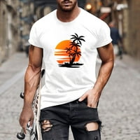 Sdjma Muška labava Fit Heavyweight Majica s kratkim rukavima Dnevna majica 3D Print Graphic Prints Cross
