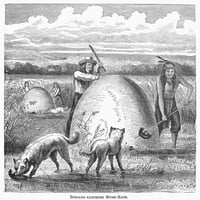 Muskrat lov, 1873. Nnative Amerikanci hvataju muskrats. Graviranje drveta, američki, 1873. Poster Print