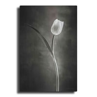 Luxe Metal Art 'dva tona tulipana II' od strane Debra kombija, metalna zidna umjetnost, 24 x36
