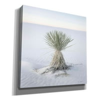 Epic Graffiti 'Yucca u bijelim pijeskom Nacionalni spomenik' Alan Majchrowicz, Giclee Platno Zidna umjetnost,