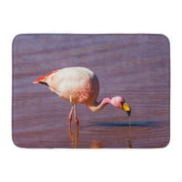 Animal Pink America Flamingo na Laguni Colorada Crveni Andes Argentina prostirke vrata vrata 23.6x