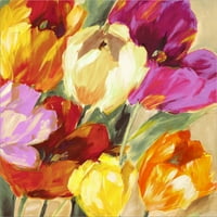 Sjajna umjetnost sada šareni tulipani II Jim Stone, platno Zidno umjetnost, 24W 24h