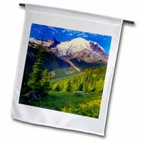 3drose SAD, Washington, Mt. Nacionalni park Rainier - US RDU - Richard Duval - Zastava bašte, prema