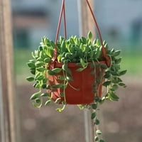 Plastični cvjetni lonac motorna košarica za biljnu držač biljaka Viseći balkon dekor