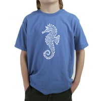 Majica umjetničke dječake pop umjetnosti - vrste morskih kolica