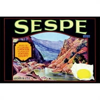 Kupite povećaj 0-587-21974-2P SESPE Brand limuns- Veličina papira P20X30