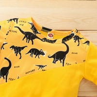 Toddler Baby Boys Girls Crtani Dinosaur Pulover Dukseri vrhovi + hlače odijela za 3-mjesec