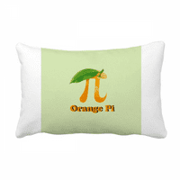 Izračun Matematički pivo narančasto bacanje jastuk lumbalni umetciv umetnik Cover Dekoracija kuće