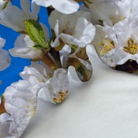 Prekrasan bijeli cvijet od tiskani kućni tekstil visokokvalitetni kreveti za nožnice sa postavljenim