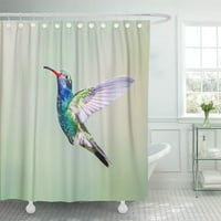 Široko naplaćena hummingbird pomoću različitih ptica postaje više kupatilo za zavjese za tuširanje kupatila
