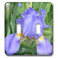 3drose ljubičasta iris - dvostruki preklopni prekidač