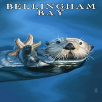Bay Bellingham, Washington, Sea vidter sa zvijezdom