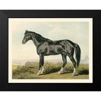 Cassel crni moderni uokvireni muzej umjetnički print pod nazivom - Cassells konj II