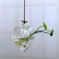 Seyurigaoka prozirne zidne vaze postrojenja za vaze Terrarium kontejner
