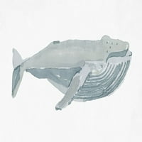 Humpback Whale I by Stellar Design Studio