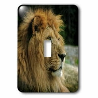 3Droza portret afričke divljine lavovog životinjskog stila - Jednokrevetni prekidač