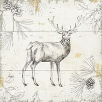 Gango Domaći dekor Država-Rustikal Wild and Beautiful & XIII by Daphne Brissonnet; Dva 12x12in bijeli
