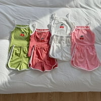 Akiihool Baby Girl Ljeto postavlja majicu za djevojke i kratki set za male i velike djevojke