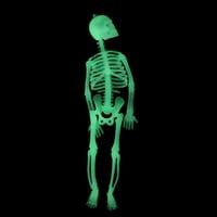 Zeceouar Halloween Dekoracije unutarnje vanjsku svjetlutnu skelet na otvorenom zastrašuju se zastrašujuća