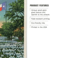 Teksas, vanjski pogled na državni kapitol, zastava i polje plavih bonneta Birch Wood Zidni znak
