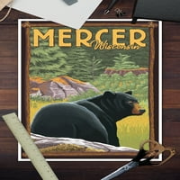 Mercer, Wisconsin, crni medvjed