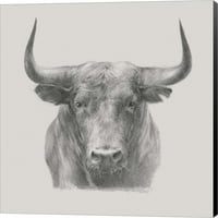 Crni bik Ethan Harper, platno Zidna umjetnost, 12W 12h