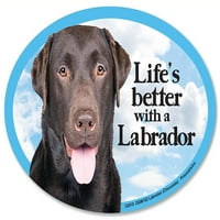Labrador retriver ovalni pas za pse za automobile