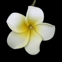 Svjetiljka cvijeća jaja Baterija, bijela plumeria cvjetna žica
