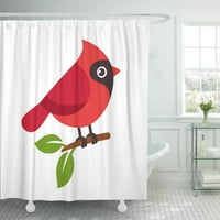 Šarena divna crvena sjeverna kardinalna ptica na drveću grana slatka crtana Amerika za zavjese za kupanje