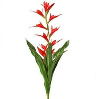 u. Crveni petardi bromeliad postrojenje umjetno cvijeće