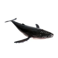 Simulirani morski životinjski model Dekor plastični kitovi Model Model Model LifeLike Whale Model ADORNSI